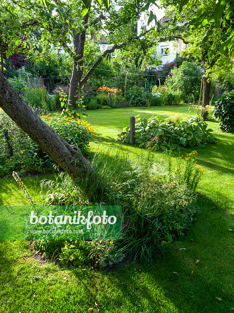 426335 - Row house garden with lawn and fruit trees