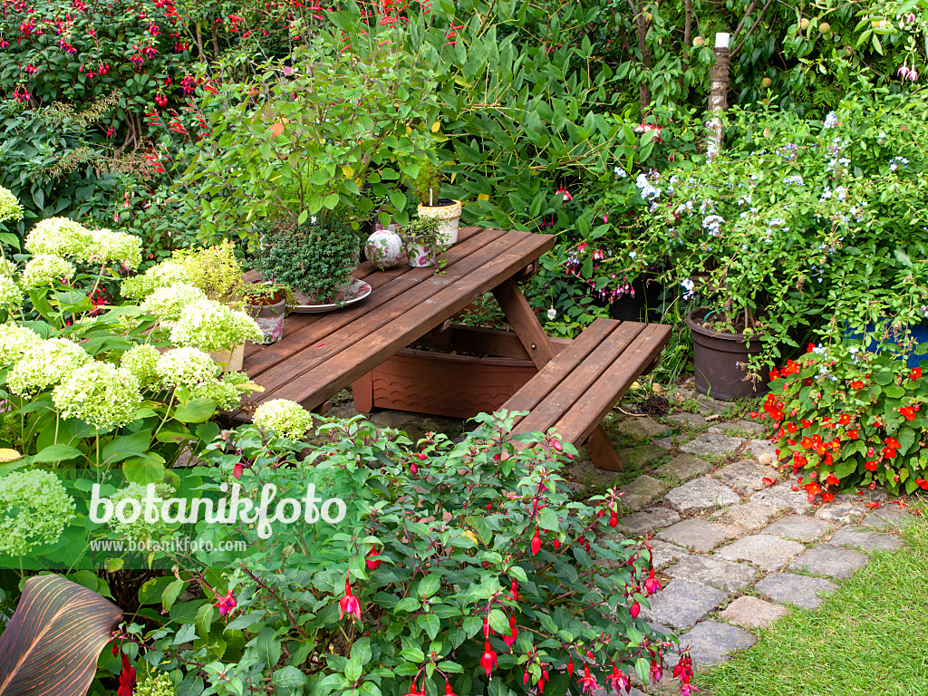 490015 - Seating area in a perennial garden