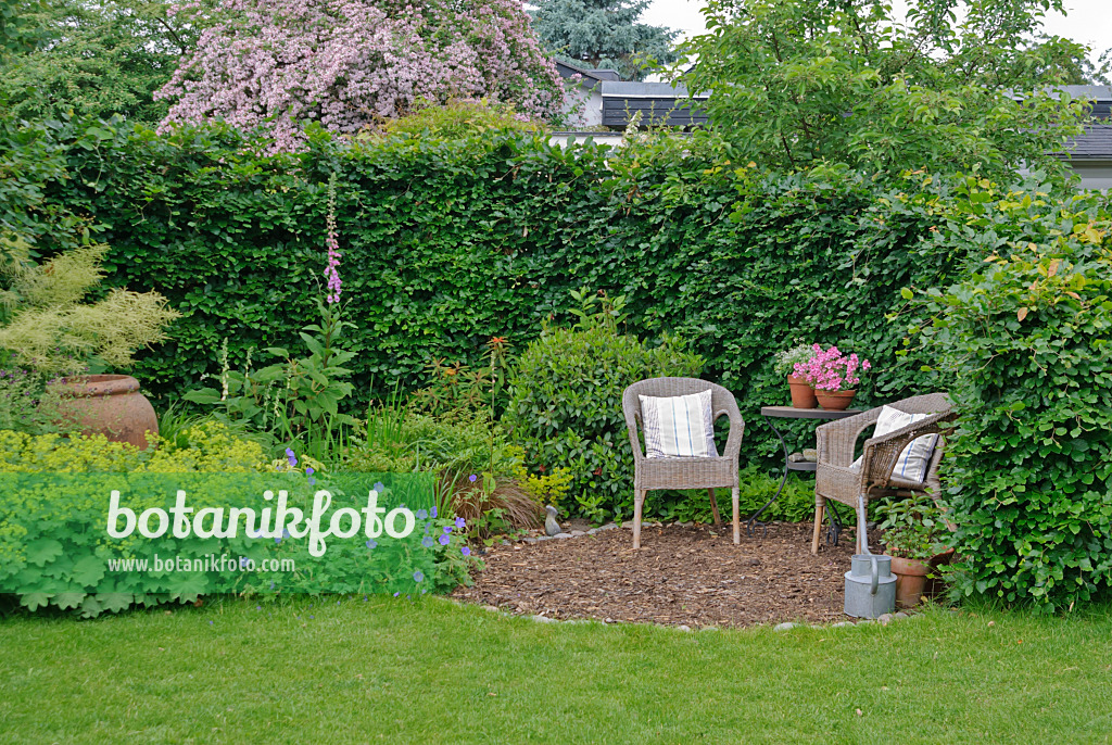 509164 - Seating area in a perennial garden