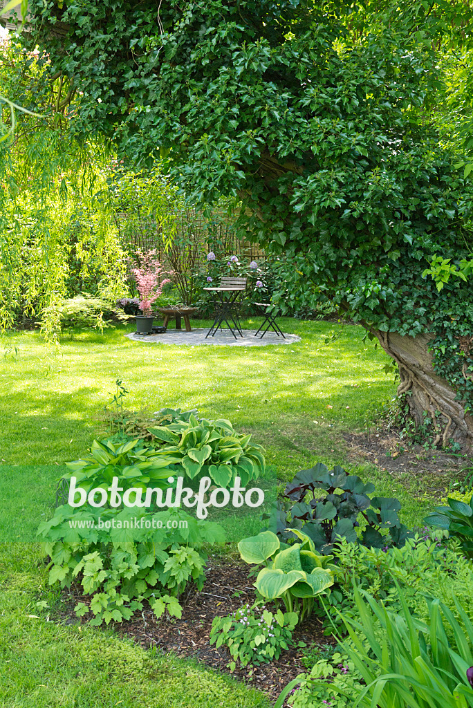 544151 - Seating area in a perennial garden