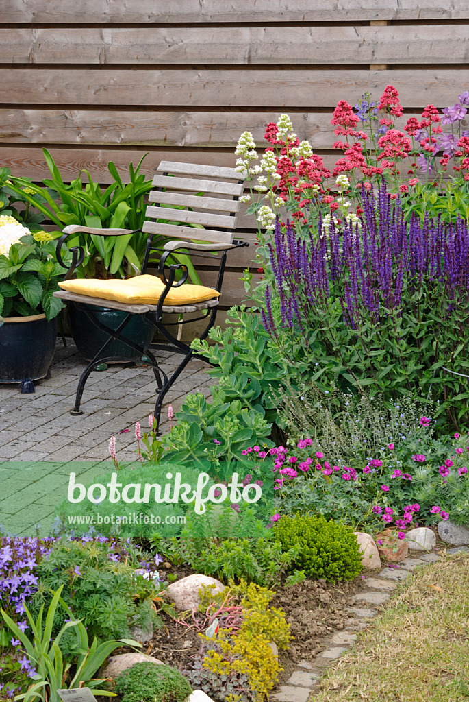 500183 - Seating area with ashy cranesbill (Geranium cinereum subsp. subcaulescens syn. Geranium subcaulescens), woodland sage (Salvia nemorosa) and red valerian (Centranthus ruber)