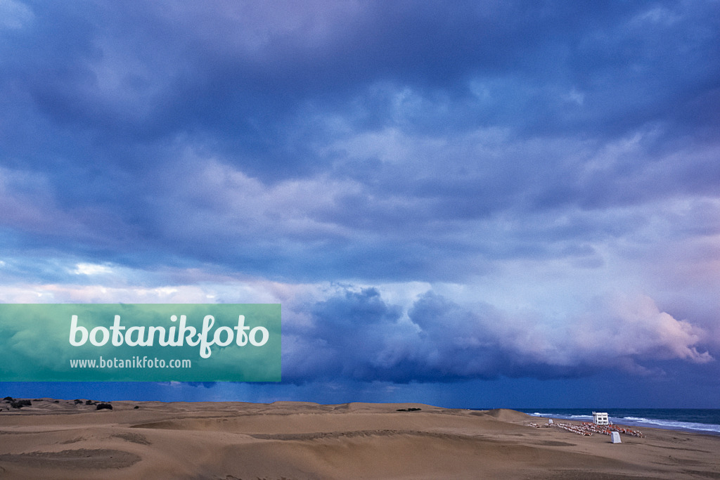 397004 - Shifting sand dunes in the evening, Maspalomas, Gran Canaria, Spain