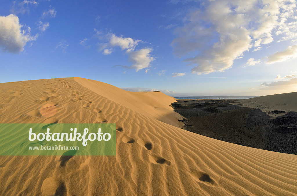 564232 - Shifting sand dunes in the evening, Maspalomas, Gran Canaria, Spain