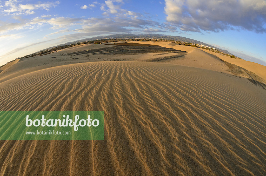 564233 - Shifting sand dunes in the evening, Maspalomas, Gran Canaria, Spain