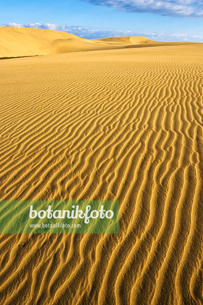 397043 - Shifting sand dunes, Maspalomas, Gran Canaria, Spain