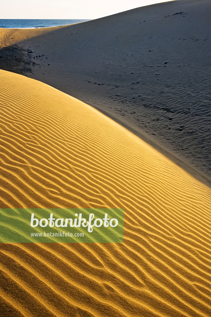 397046 - Shifting sand dunes, Maspalomas, Gran Canaria, Spain