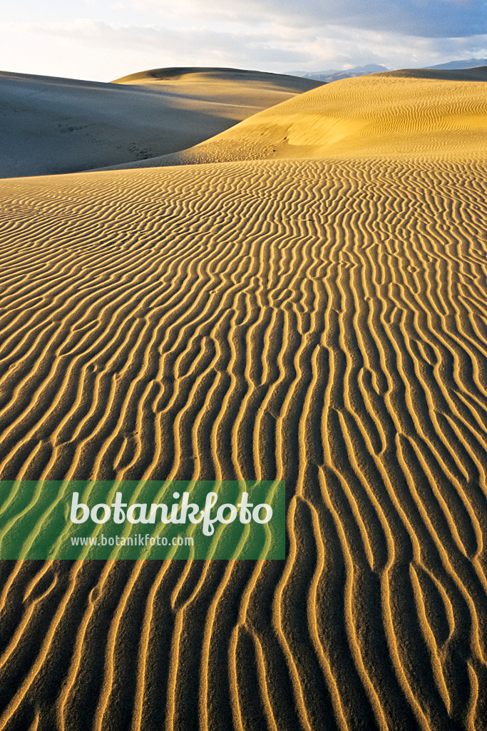 397048 - Shifting sand dunes, Maspalomas, Gran Canaria, Spain