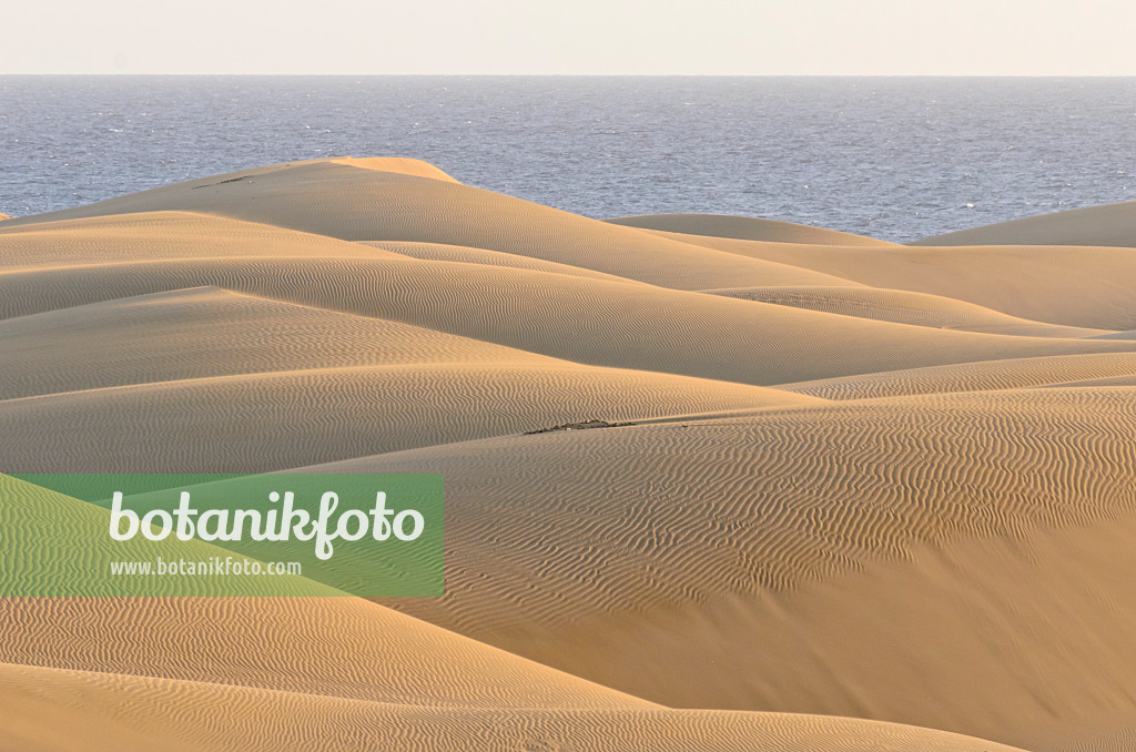 564055 - Shifting sand dunes, Maspalomas, Gran Canaria, Spain