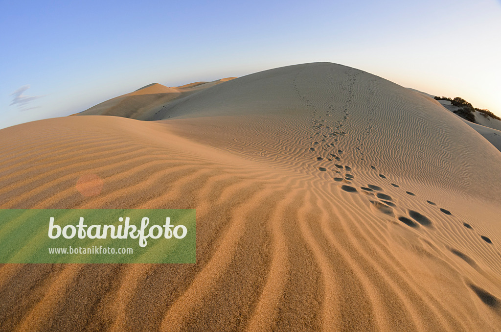 564062 - Shifting sand dunes, Maspalomas, Gran Canaria, Spain