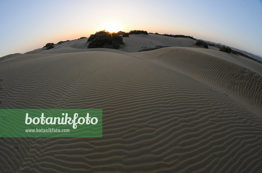 564063 - Shifting sand dunes, Maspalomas, Gran Canaria, Spain