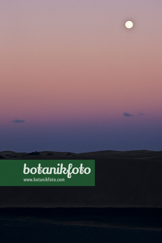 397049 - Shifting sand dunes with moon, Maspalomas, Gran Canaria, Spain