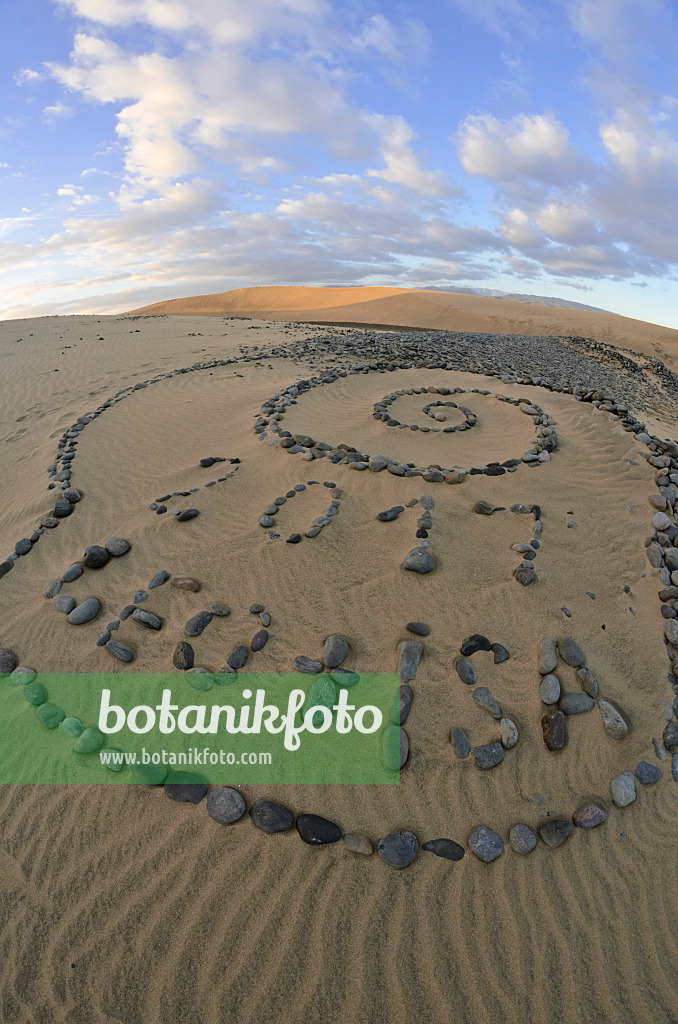 564237 - Shifting sand dunes with stone setting “Leo” and “Isa”, Maspalomas, Gran Canaria, Spain