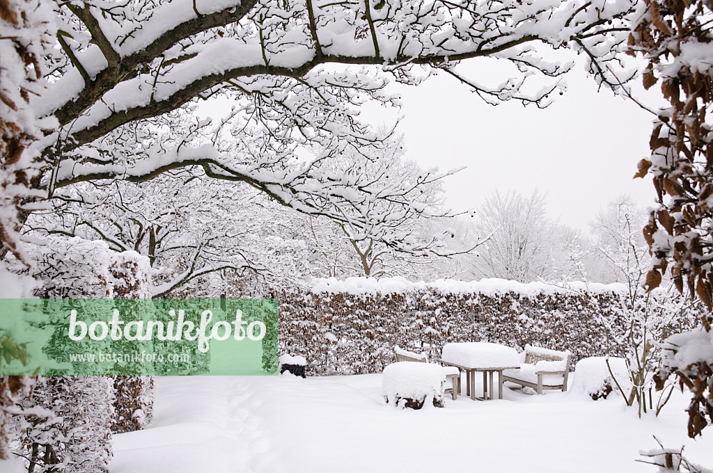 491066 - Snowy garden with seating area