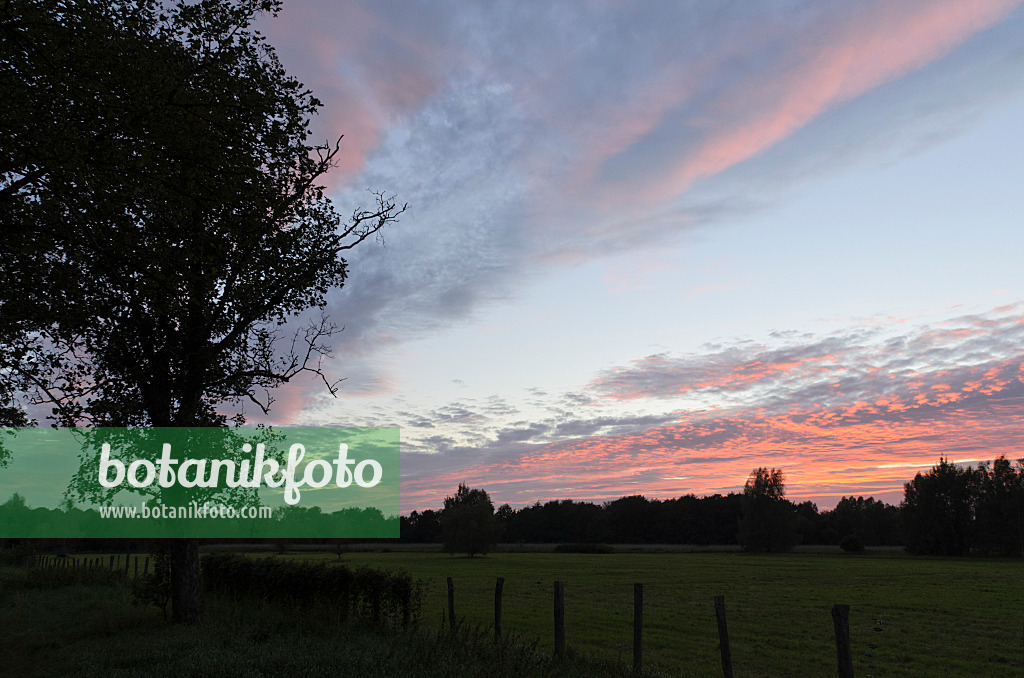 500083 - Sunset at Karower Seen Nature Reserve, Berlin, Germany