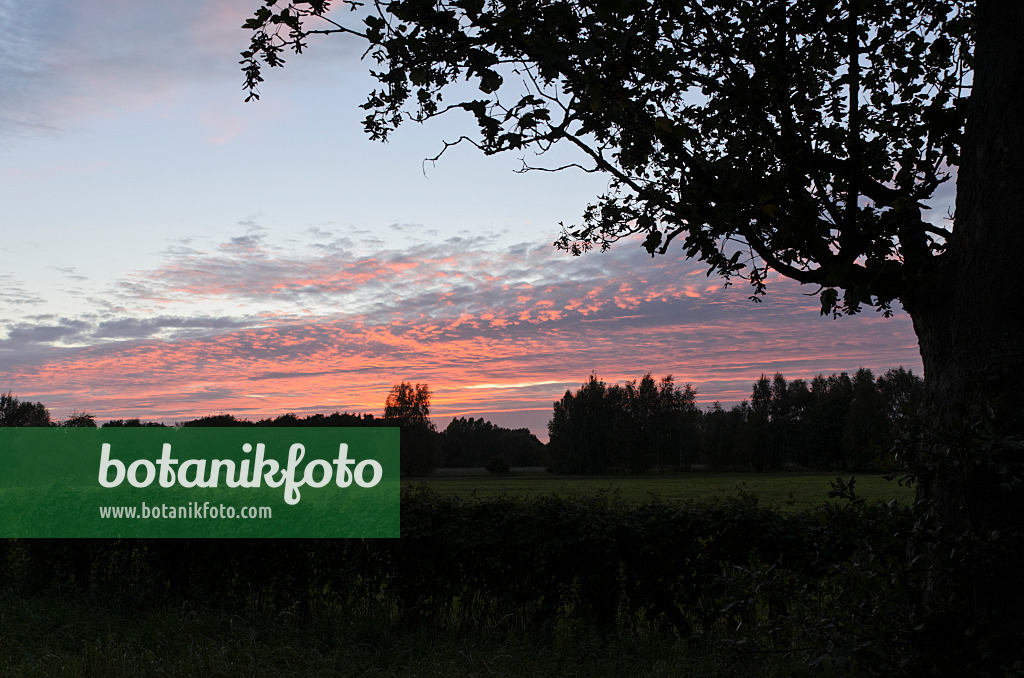 500084 - Sunset at Karower Seen Nature Reserve, Berlin, Germany