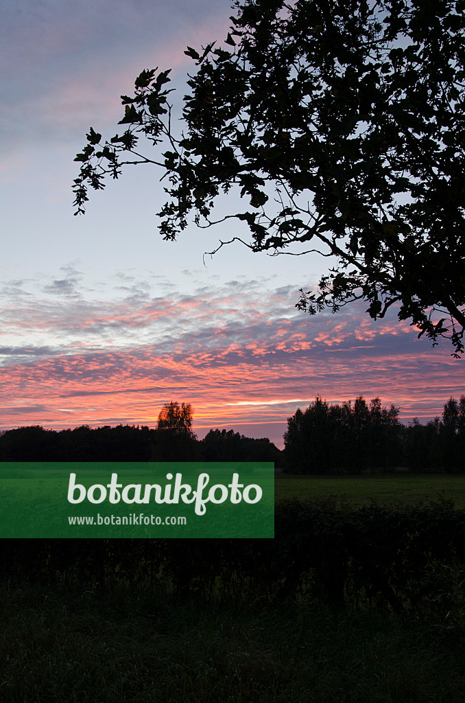 500085 - Sunset at Karower Seen Nature Reserve, Berlin, Germany