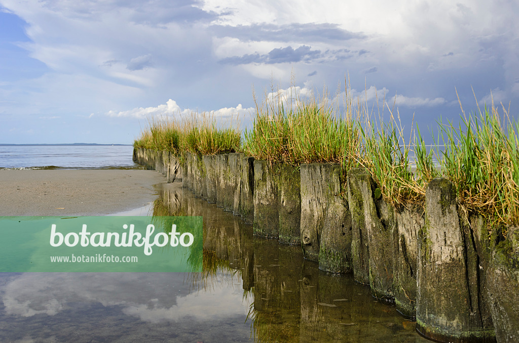 571005 - Thundery clouds and breakwater at Stettiner Haff, Germany