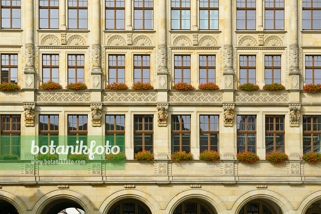 559047 - Town Hall, Görlitz, Germany