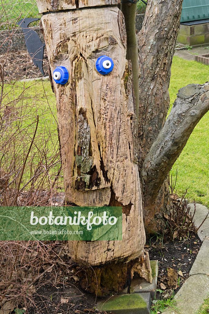 540001 - Tree with face in a garden