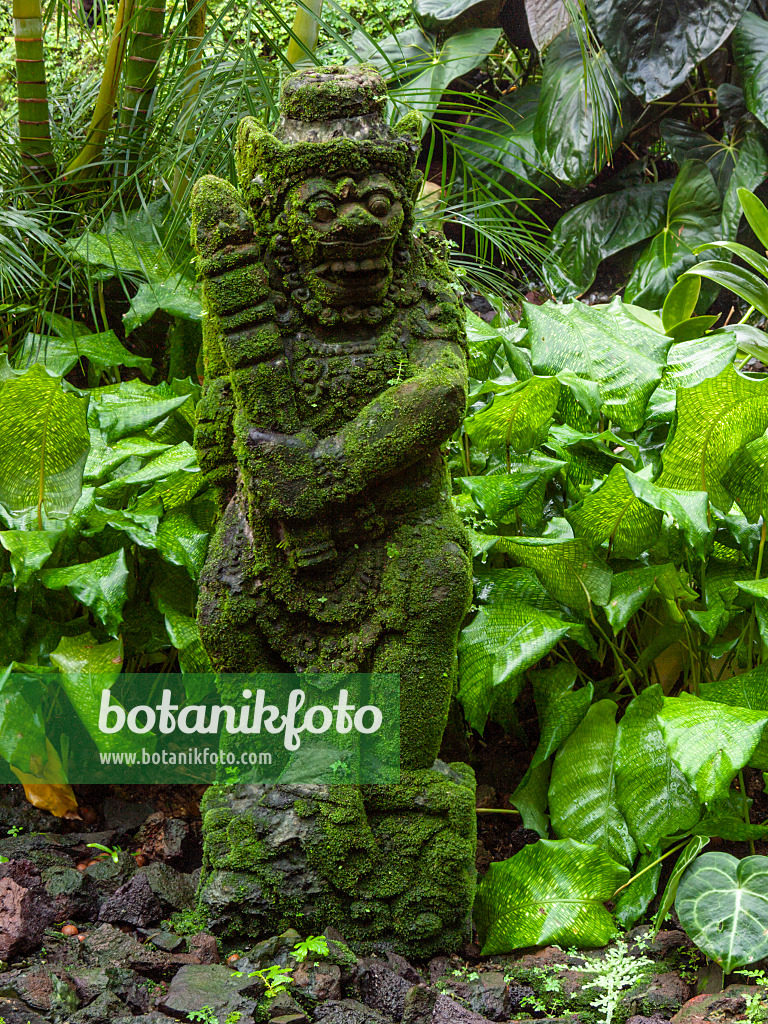 411194 - Tropical garden with sculpture, National Orchid Garden, Singapore