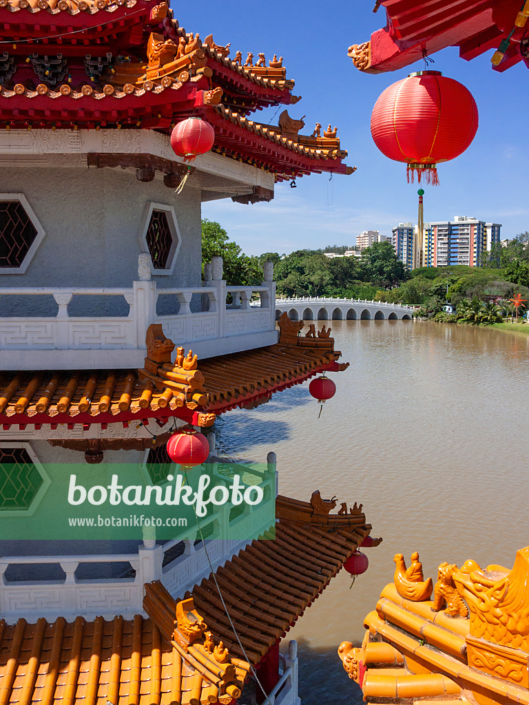 411036 - Twin Pagoda, Chinese Garden, Singapore