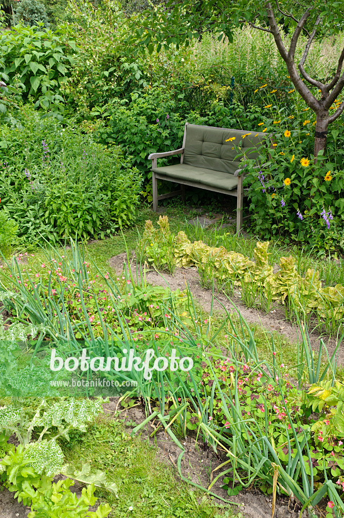 474134 - Vegetable beds in a natural garden