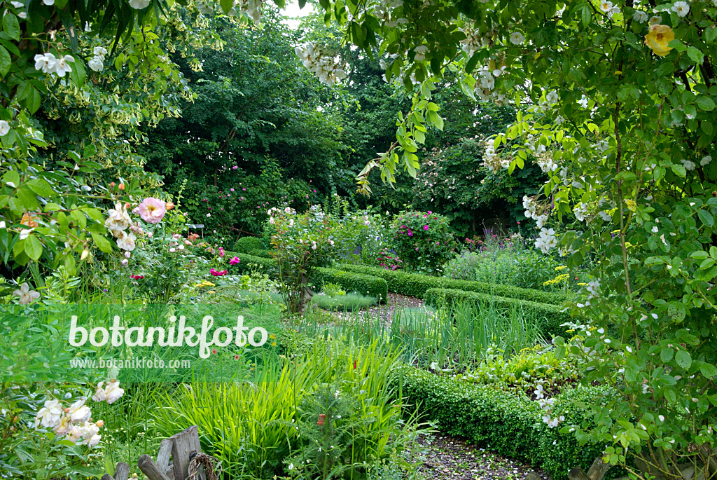 452153 - Vegetable garden with box hedges