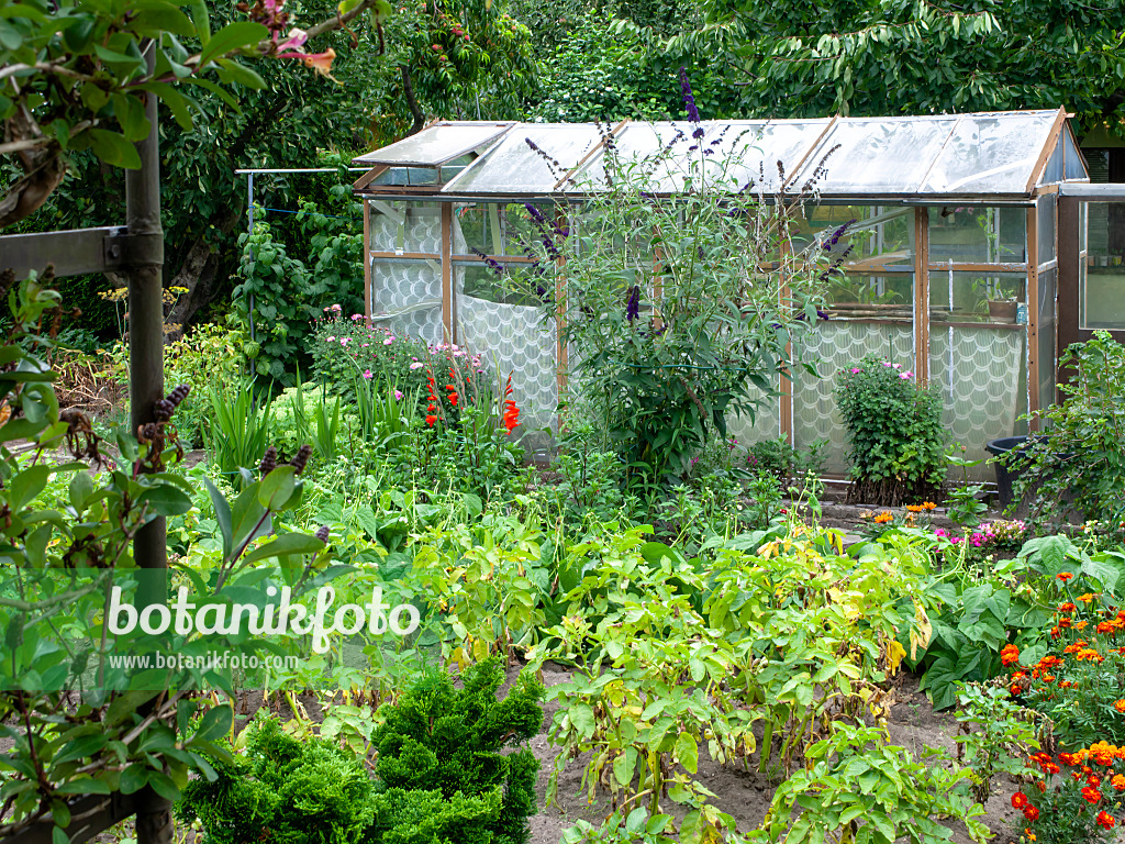 474396 - Vegetable garden with greenhouse