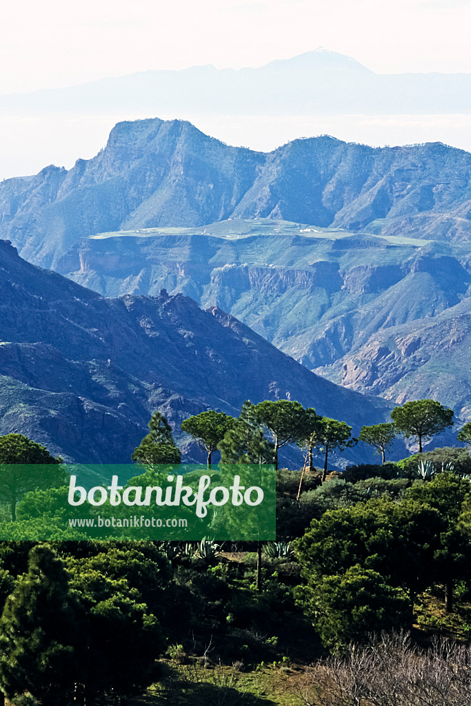 397123 - View of Tenerife, Gran Canaria, Spain