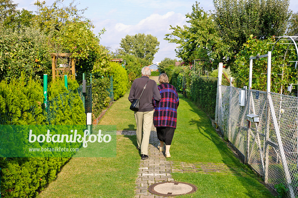 476095 - Walkers at an allotment site