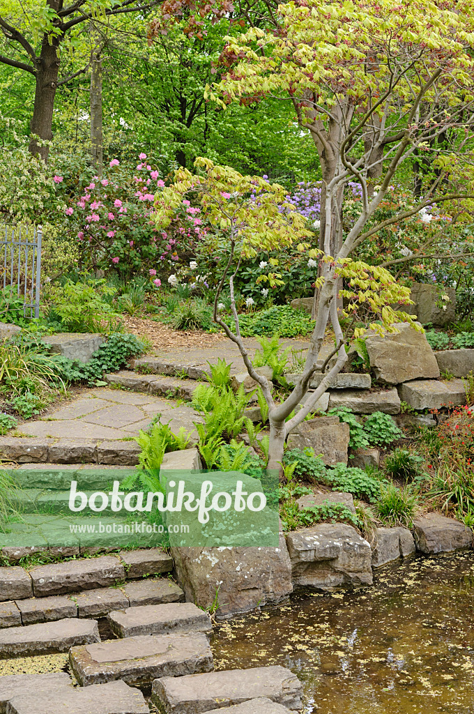 471185 - Water garden, Britzer Garten, Berlin, Germany