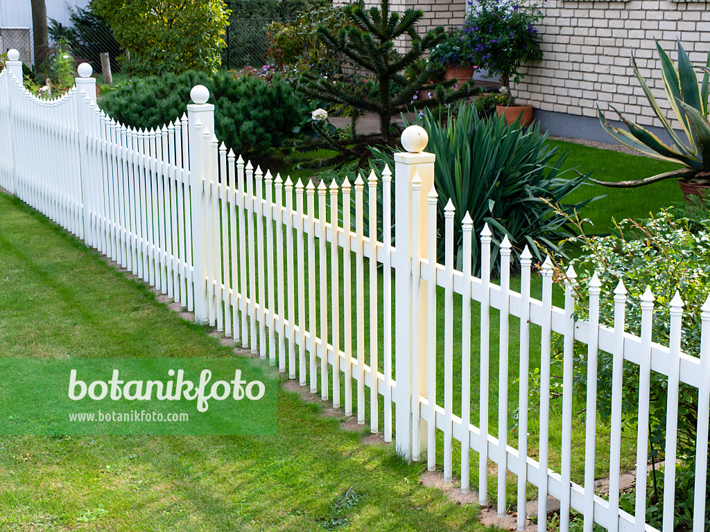 476187 - White palisade fence with curved arches in front of a front garden with tropical vegetation