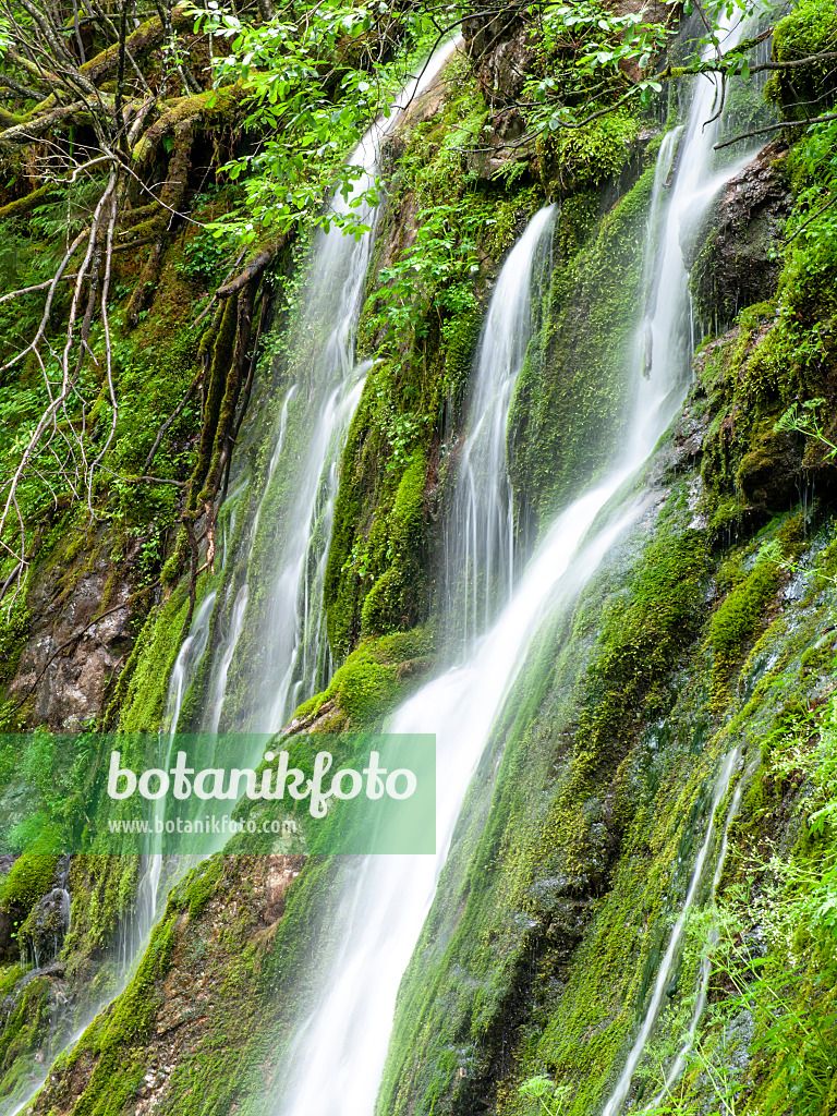 439165 - Wimbach Gorge, Berchtesgaden National Park, Germany