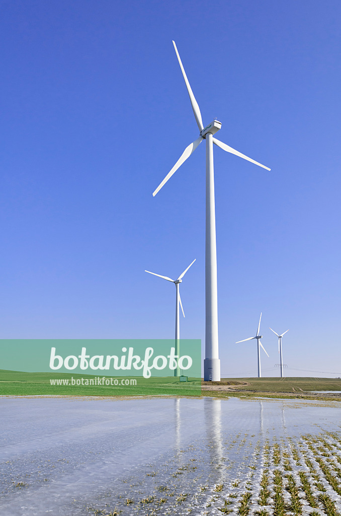 578004 - Wind turbines on a field with winter cereals covered by ice