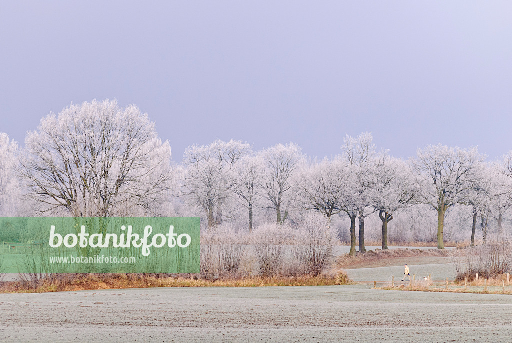 479048 - Winter landscape with hoar frost