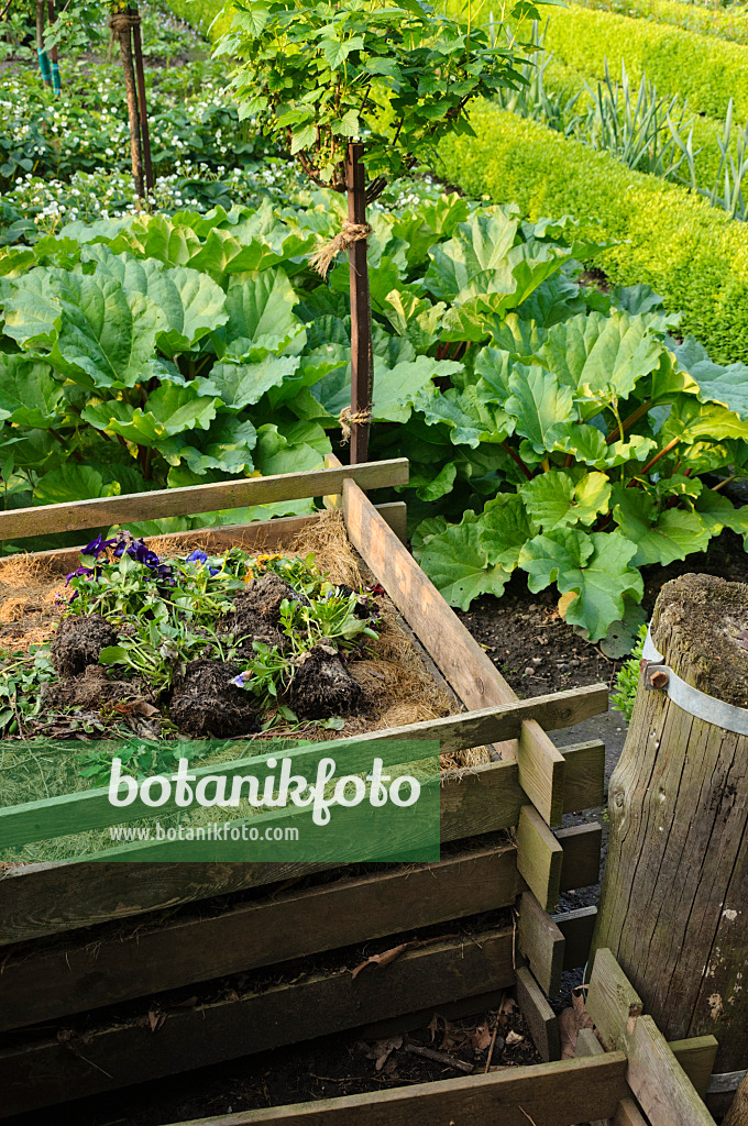 484333 - Wooden compost bin in an allotment garden