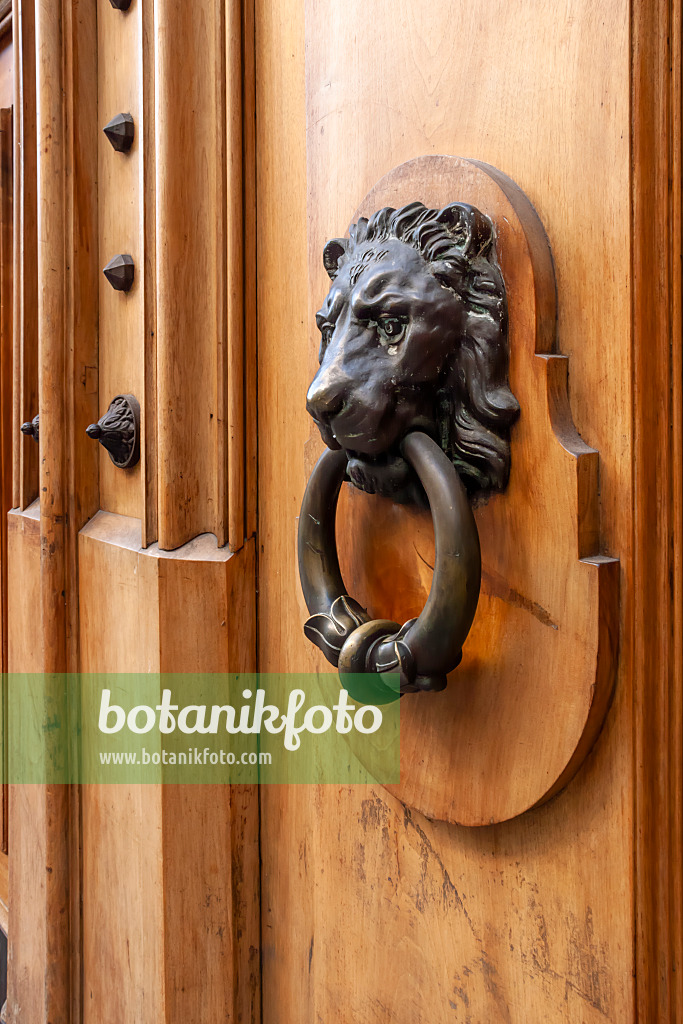 453165 - Wooden door with ironclad lion head, Geneva, Switzerland