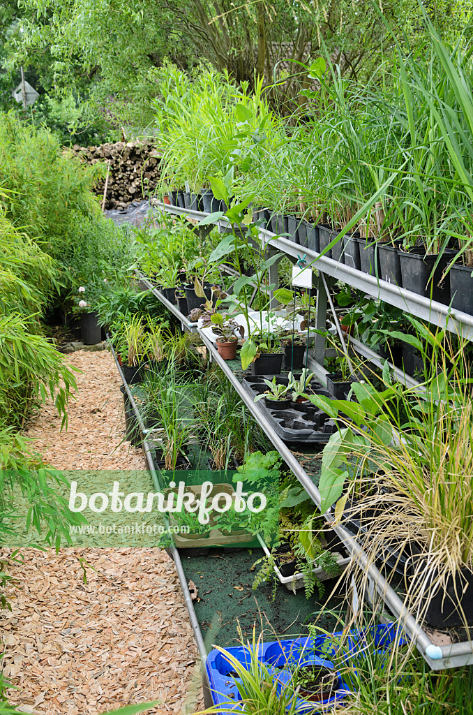 534058 - Workplace in the garden with plants in flower pots