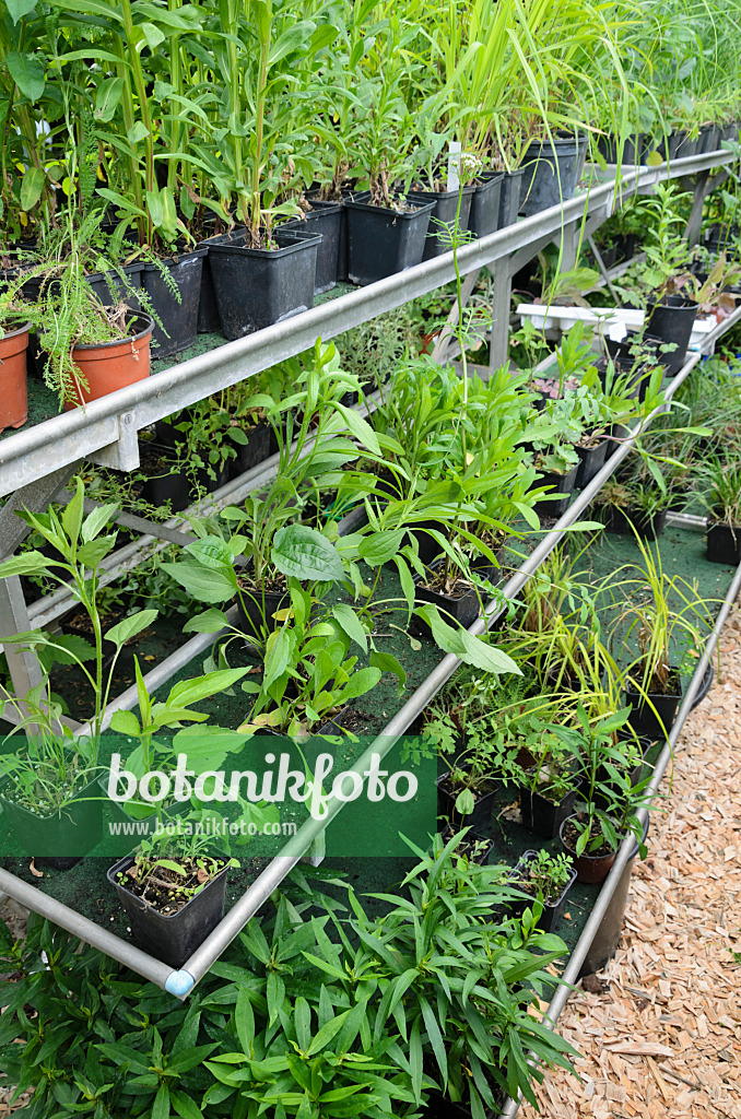 534059 - Workplace in the garden with plants in flower pots