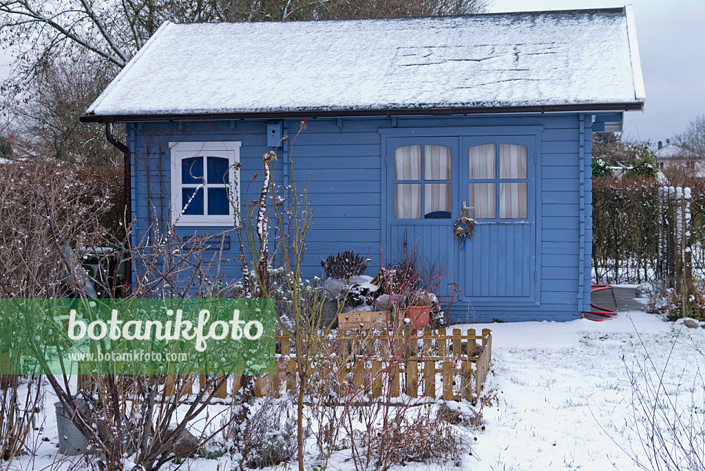 565048 - Abri de jardin bleu dans un jardin familial en hiver