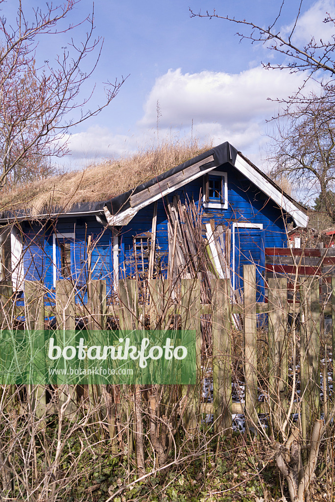 601014 - Abri de jardin bleu dans un jardin familial en hiver