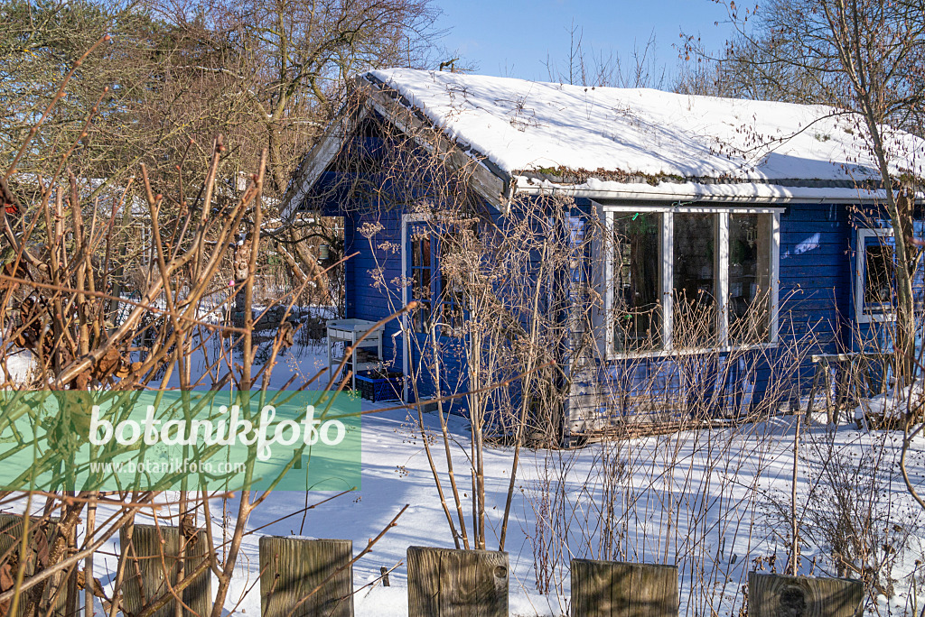 625025 - Abri de jardin bleu dans un jardin familial en hiver