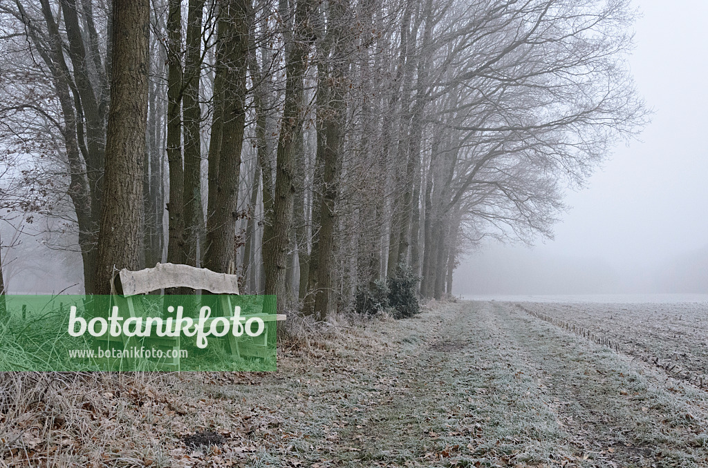 563018 - Avenue et banc en bois avec givre