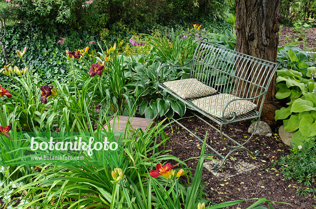 474107 - Banc dans un jardin de plantes vivaces