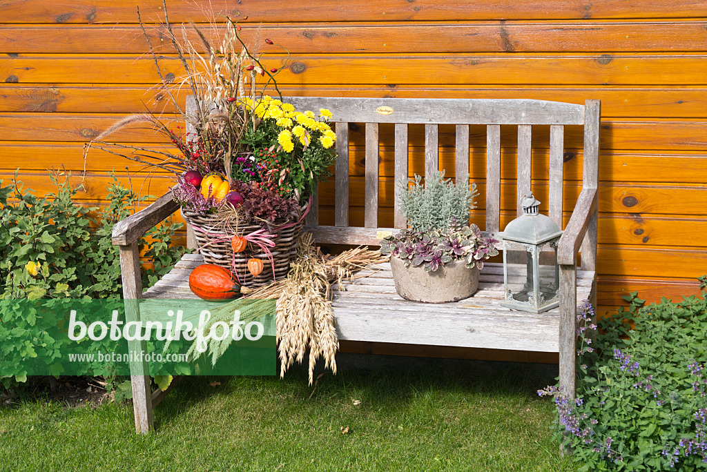 549167 - Banc de jardin avec de décoration automnale