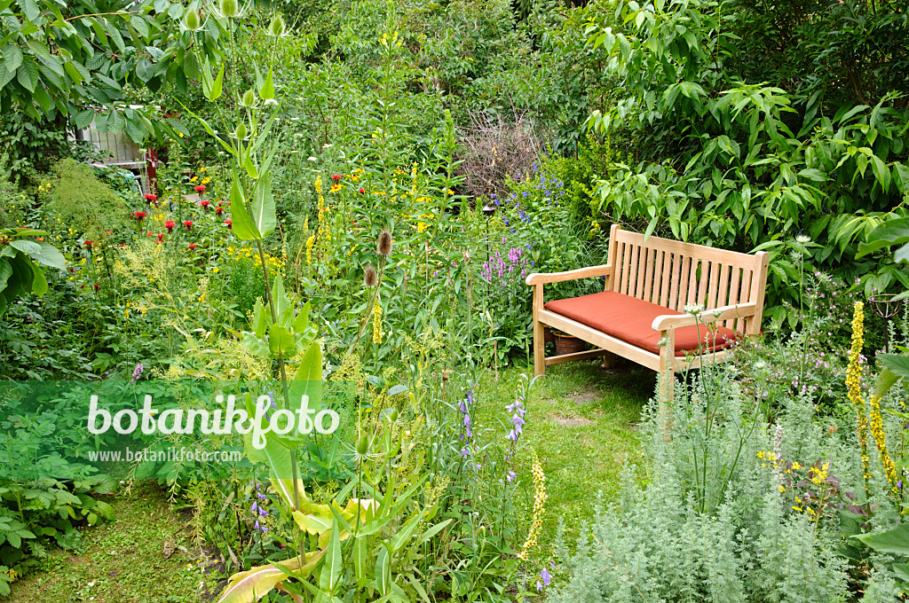 474139 - Banc en bois dans un jardin naturel