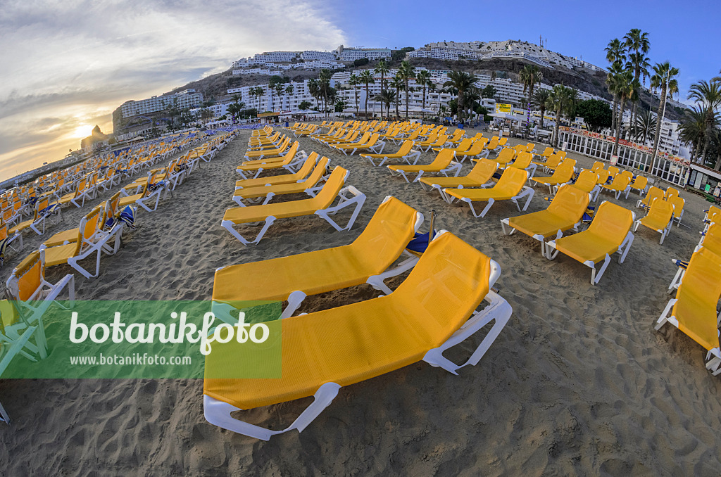 564136 - Chaises longues à la plage, Puerto Rico, Gran Canaria, Espagne