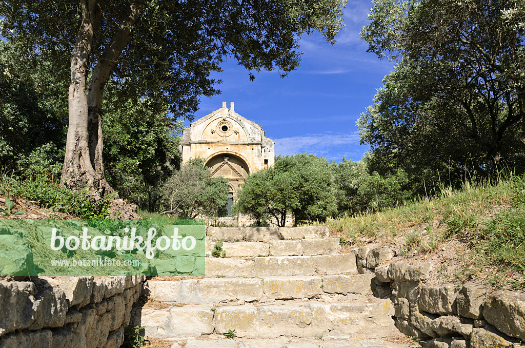 557194 - Chapelle Saint-Gabriel, Alpilles, Provence, France