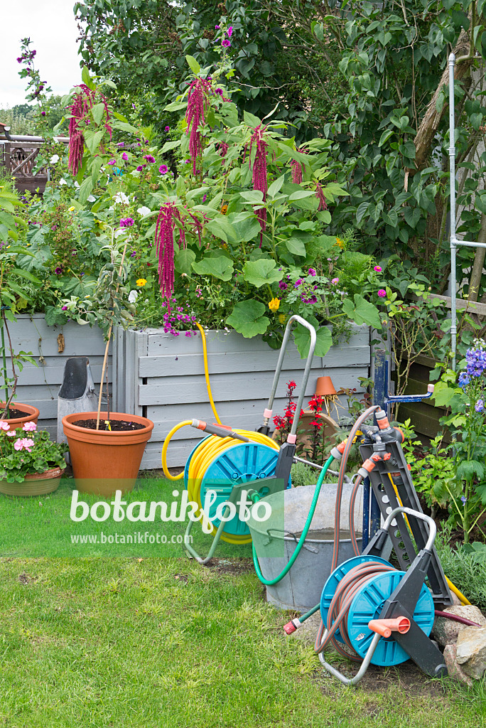 559021 - Chariots de tuyau et potagers surélevés dans un jardin familial