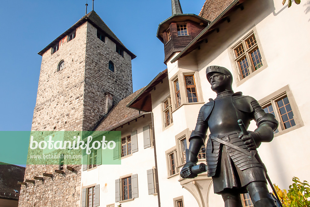 453118 - Château avec monument du chevalier Adrian von Bubenberg, Spiez, Suisse